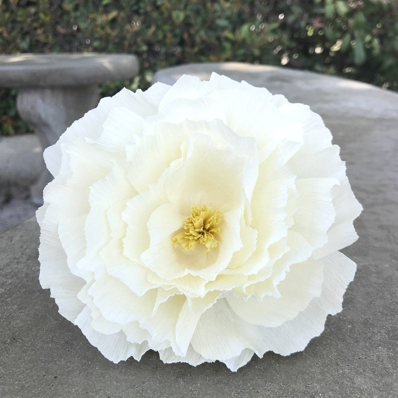 Paper Peony in Many Color Choices