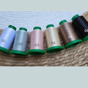 May include: Six spools of thread in different colors, labeled 01 through 06. The colors are light blue, silver, light pink, beige, light brown, and black.