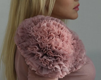 Blush Tulle Long Sleeve Blouse with Heart Detail, Mesh Top