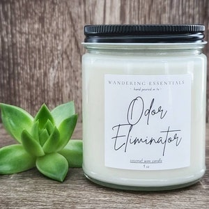 ODOR ELIMINATING Coconut Wax Candle | Natural Candle | Paraffin-free | Eco friendly | Scented Candle | Hand Poured