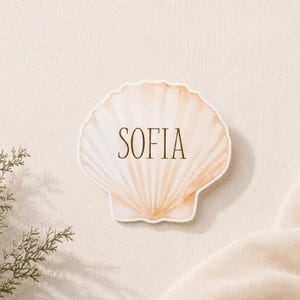 May include: A scallop shell-shaped sticker or decorative cutout featuring a light beige and cream gradient with vertical ridges. The name SOFIA is printed in the centre in a dark brown, thin, sans-serif font, centred on the shell surface.