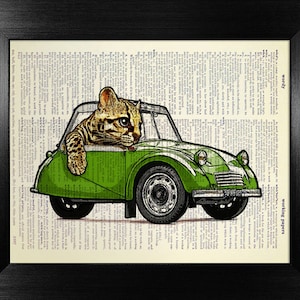 Tabby Cat Driver Gift, TABBY CAT Art Print, Tabby Cat Print, Tabby Cat Wall Art, Tabby Cat Poster, Vintage CAR Decor, Cute Green Car Art