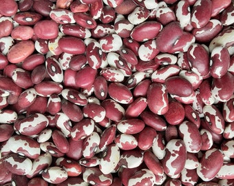 Organic Anasazi Bean Seeds