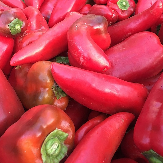 Organic 'Lipstick' Sweet Pepper