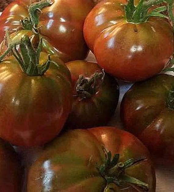NEW! Organic Paul Robeson Tomato