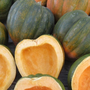 May include: A close-up of several acorn squash, some whole and some cut open, revealing the bright orange flesh inside. The squash are a mix of green and orange colors.