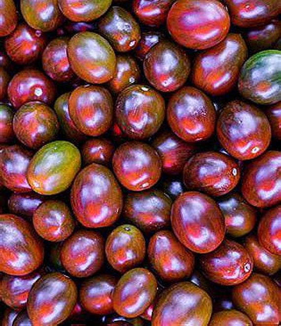 NEW! Organic Chocolate Cherry Tomato