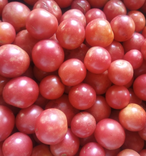Organic 'Brandywine Cherry' Tomato
