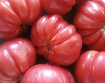 Organic 'Mushroom Basket' Tomato