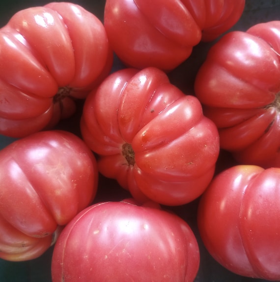 Organic 'Mushroom Basket' Tomato