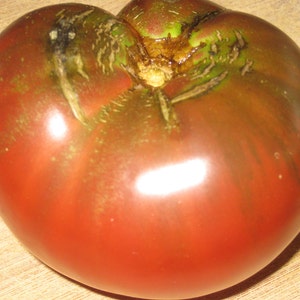 Organic Cherokee Purple Tomato