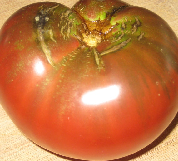 Organic Cherokee Purple Tomato