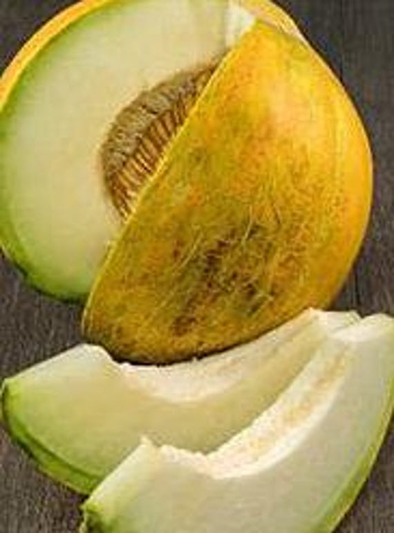 NEW! Organic 'Obi Novot' Melon