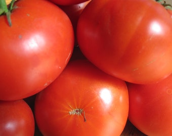 Organic Greek Asimina Tomato