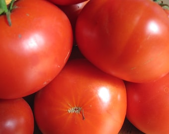 Organic Greek Asimina Tomato