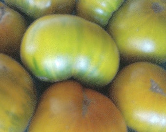 NEW! Organic 'Malachite Box' Tomato