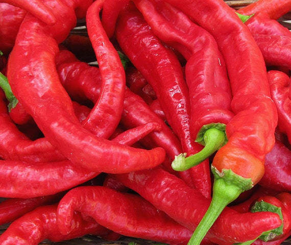 Organic Jimmy Nardello Sweet Frying Pepper