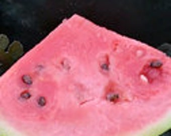 Organic Blacktail Mountain Watermelon