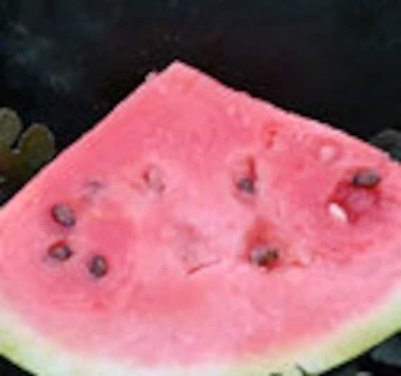 Organic Blacktail Mountain Watermelon