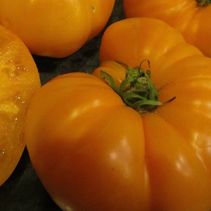 May include: Four bright orange heirloom tomatoes, one of which is sliced in half, showing the inside of the tomato.