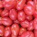 see more listings in the Tomatoes section