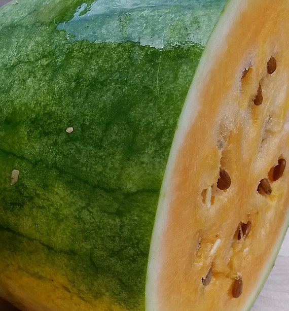 Organic Sweet Siberian Watermelon