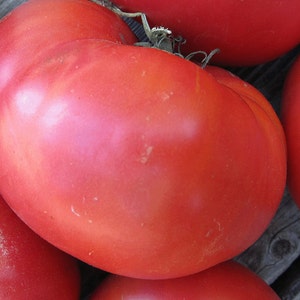 Organic Tennessee Heirloom Tomato