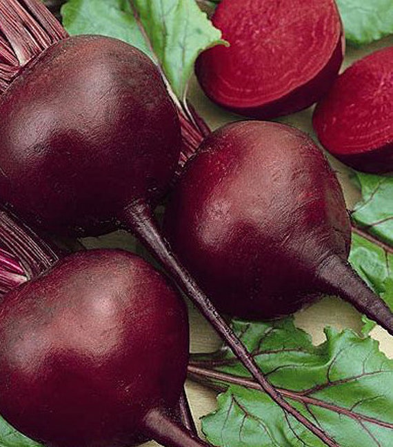 Organic Detroit Dark Red Beet