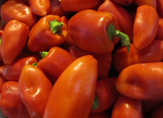 Organic Feherozon Paprika Pepper