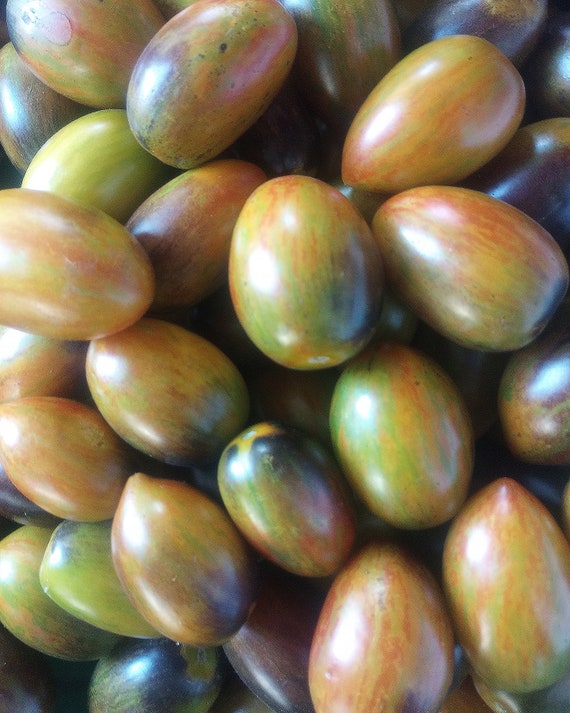 Organic Magic Bullet Tomato