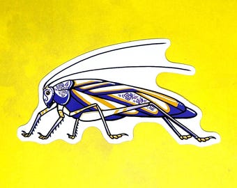 Katydid Porcelain Bug Sticker - 4&quot; Gloss Vinyl