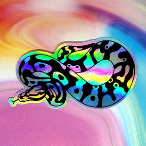 Holo Ball Python Snake Sticker - 3" Vinyl