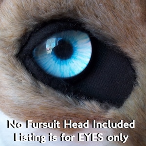 Custom Fursuit Eyes - .75 - 2 - Please send References in Messages :) ~