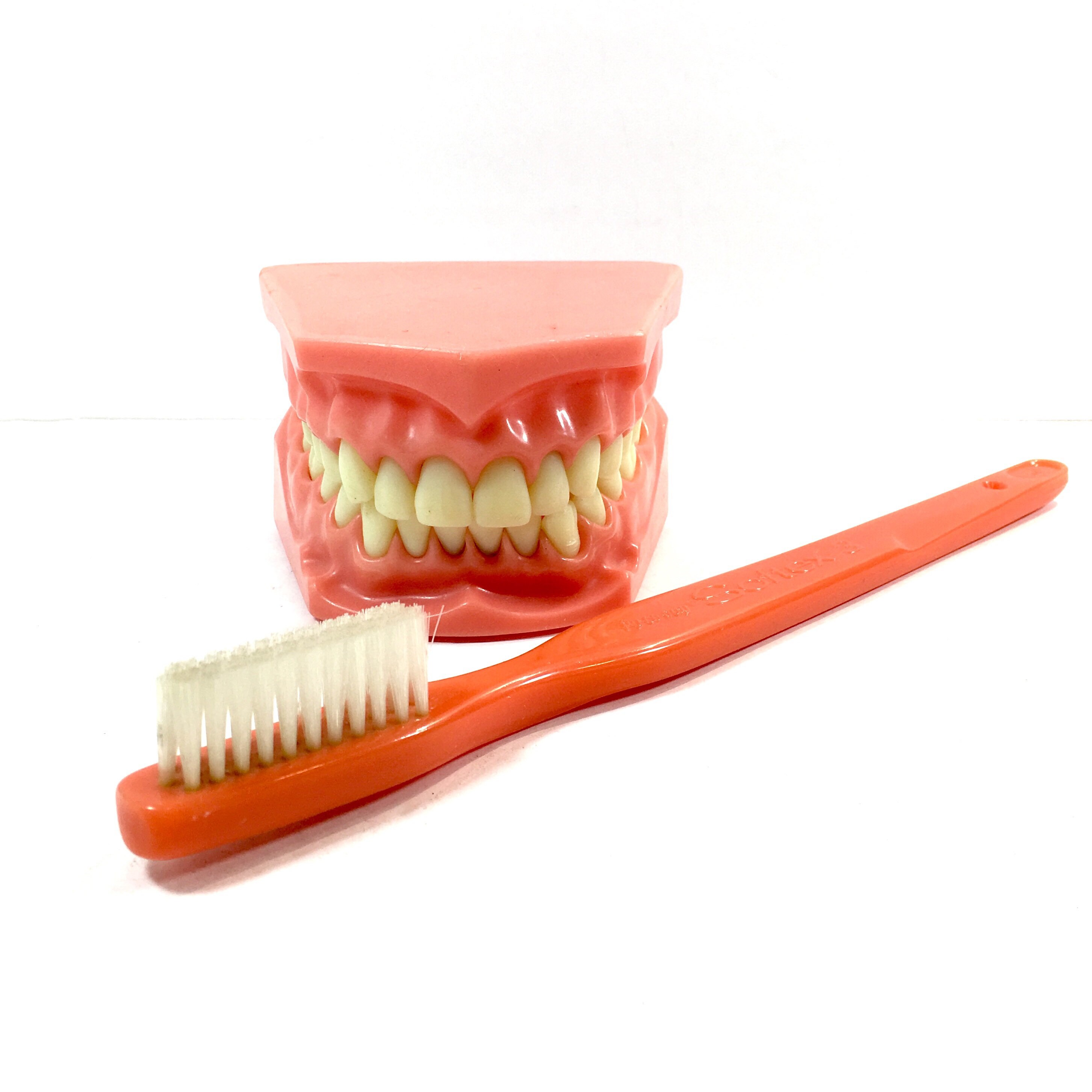 Vintage Dental Collectibles Jumbo Advertising Toothbrush Huge Tooth and Gum Mold Oversized Dentist Tools Accessories Gift for Dentist