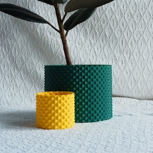 May include: A green and yellow geometric patterned planter with a houseplant with dark green leaves.