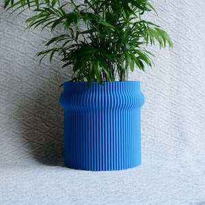 May include: A green houseplant in a blue, textured ceramic planter. The planter has a wavy, ribbed design.