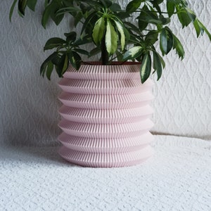May include: A pink, textured, cylindrical planter with a plant with green and white leaves. The planter has a unique, layered design.