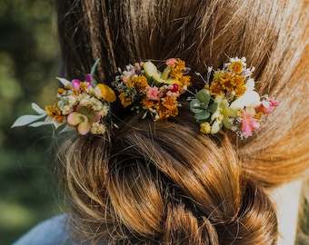 3/5/10 Stück Wiesenblumen Haarnadeln Natürliche getrocknete Blumen Haarnadeln Hochzeitsfrisur Magaela Braut Haarschmuck Bunte Wildblumen