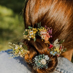 Meadow flower hairpins Natural dried flower hairpins Wedding hairstyle Bride to be Magaela Bridal hair accessories Colourful wildflowers image 3