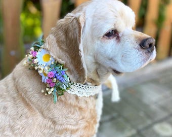 Floral Dog Collar: Lavender & Daisy Flower Collar, Wedding Accessory