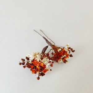 Fall dried flower hairpins Autumn burnt orange rusty and ivory hairpins Wedding Bridal hair accessories Natural preserved hairpins Magaela