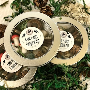 Mini Fairy Garden Kit / Faerie Attraction Spell / Magic