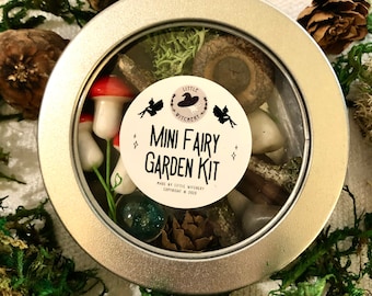 Mini Fairy Garden Kit / Faerie Attraction Spell / Magic