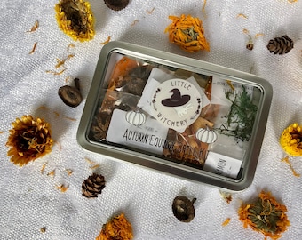 Autumn Equinox Spell Kit / Mabon Ritual Kit