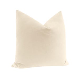 May include: A cream-colored velvet pillow with a simple, rectangular shape. The pillow is made of a soft, luxurious fabric and has a smooth, even texture.