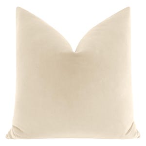 May include: A cream-colored velvet pillow with a square shape and a smooth, soft texture.