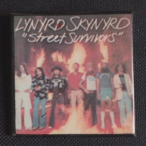 Lynyrd Skynyrd Street Survivor Album - Etsy
