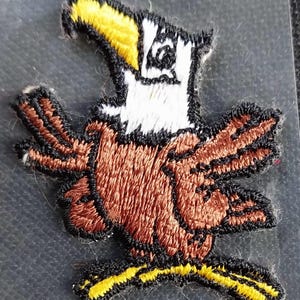 May include: Embroidered patch of a brown eagle with yellow beak and feet, white head, and black eyes. The eagle is in a flying pose with its wings spread out.