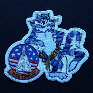 F-14 Tomcat STANDING VF Fighter Squadron Collectors LARGE Embroidered Patch
