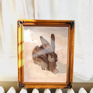 Modern pastischskiss Albrecht Dürer Ung hare Traditionell konstillustration (digital nedladdning)
